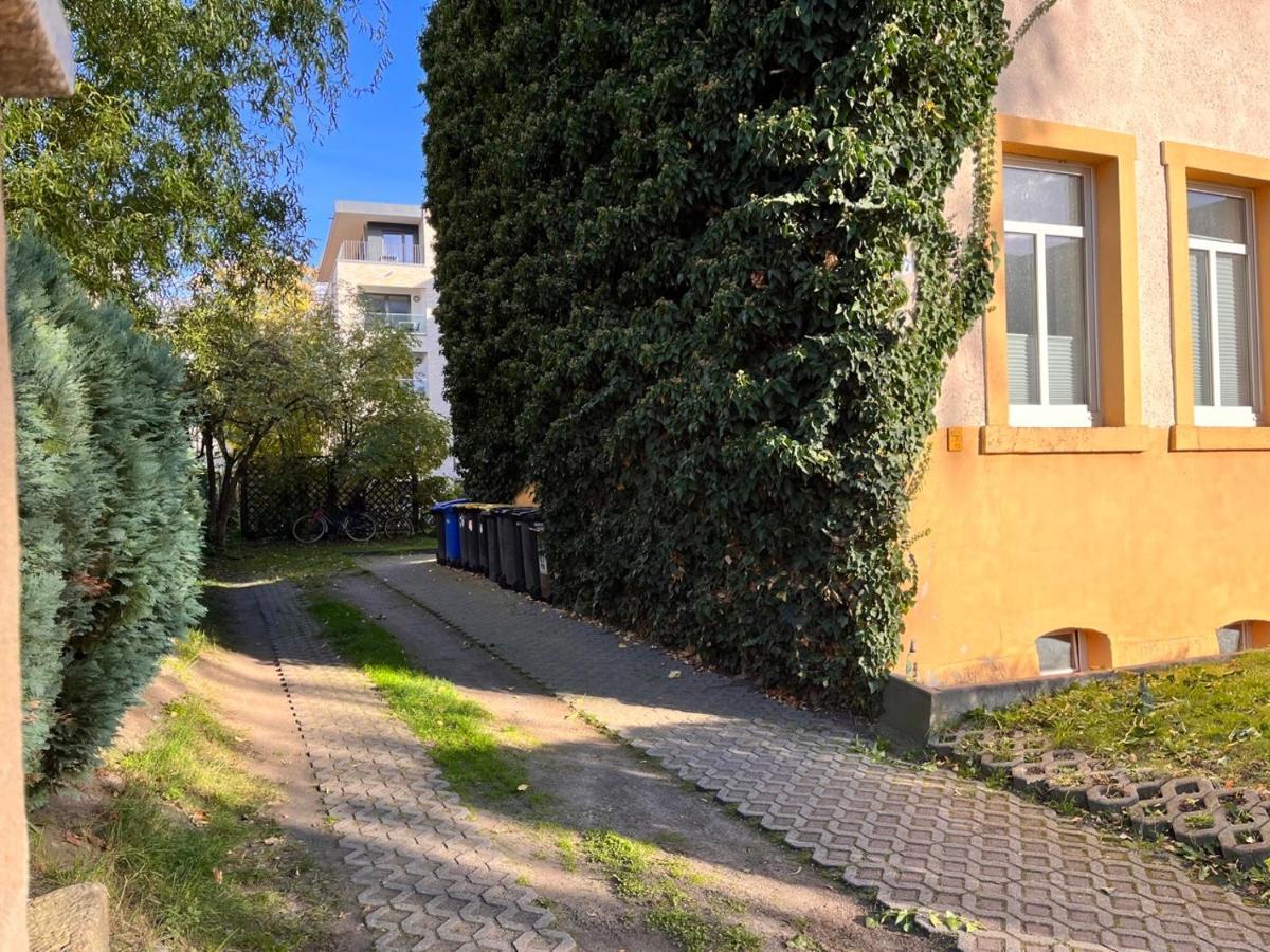 Gemutliche Oase - Tv, Beamer, Kuche Fur 4 Personen Lägenhet Dresden Exteriör bild